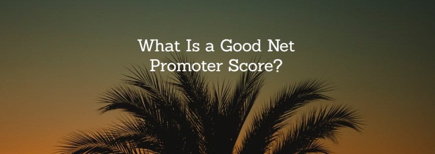 what is a good net promoter score?